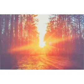 Klarstein Infrarotheizung mit Thermostat, 580W Elektroheizung, Bild-Infrarotheizung zur Wandmontage, IR Paneel mit Fernbedienung & Timer, Feuchtrau...