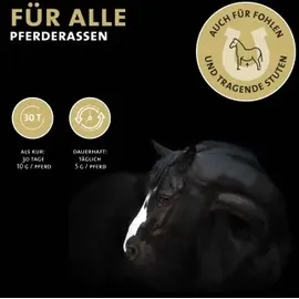 Peticare Detox-Mix Pulver für Pferde 500 g