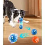 DTC GmbH 2 Stück Selbstrollender Ball Interaktives Hundespielzeug Ball,Selbstrollender Ball Hund,Interaktives Hundespielzeug Ball,Interaktives Hunde Ball Spielzeug,Hundespielzeug,Ball