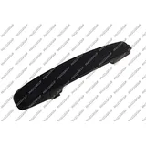 PRASCO Türgriff SZ0568113