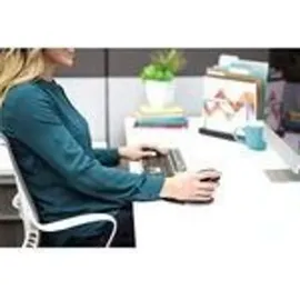 Fellowes Penguin Größe S schwarz/silber