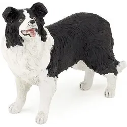 PAPO 54008 HAUSTIERE Border Collie