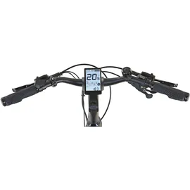 Prophete Entdecker 5.0 36V 28 Zoll RH 52 cm Schwarz-Silber Matt