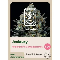 Jealousy | Feminisierte Cannabissamen von GrowSelect | 1 Hanfsamen