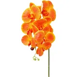 Kunstorchidee Orchidee Phalaenopsis Orchidee, Creativ green, Höhe 76 cm, mit real-touch-Blüten gelb|orange