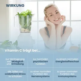 plantoCAPS Chlorella PUR Plus Kapseln 120 St.