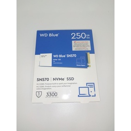 Western Digital Blue SN570 250 GB M.2 WDS250G3B0C