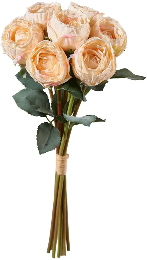 Rosen Bund x7 32cm apricot