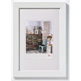 walther design Grado 40x60