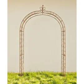 CLP Rosenbogen Sun 1 St. 1er 1,00 x 2,20 x 0,50 cm Braun