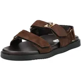 Steve Madden Riemchensandale Damen Dunkelbraun 37