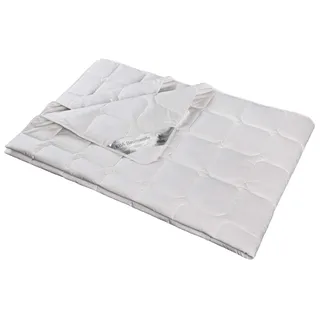 franknatur Bettdecke Sommer Wild-Seide Bio Baumwolle KBA Natur Nika 155x220