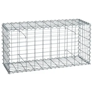 Estexo Gabione Steingabione Steinkorb 100 x 50 x 30 cm