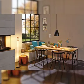 Paulmann Disa (79607)