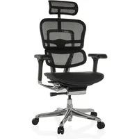 HJH Office ERGOHUMAN GEN2 Netzstoff Schwarz