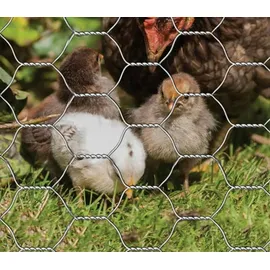 EXCOLO Hasendraht grün 50cm, x 25m, Sechseckdraht Draht Vogelschutz Kaninchendraht 13mm)