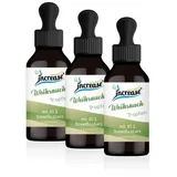 increase naturally Liposomale Weihrauch Tropfen 3000 mg 180 ml
