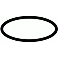 Schell O-Ring zur Spülerhaube