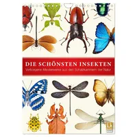 Calvendo Die schönsten Insekten (Wandkalender 2026 DIN A4 hoch),