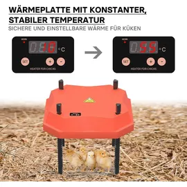 fudajo Küken-Wärmeplatte 25 x 25 cm rot/schwarz