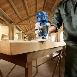 Bosch GKF 550 (06016A0020)