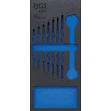 BGS 4081-1