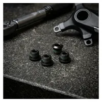 Truvativ Kettenblattschrauben-Kit Truvativ 11.6915.006.000,f.4-Arm-Kurb.SS,stahl,sw