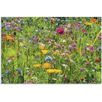 ARTland »Bunte Blumenwiese«, Blumenwiese, (1 St.), als Alubild, Outdoorbild,