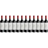 12x Zonin Classici Primitivo Puglia, 2023 - Zonin 1821, Puglia! Wein