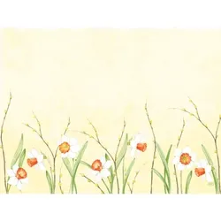 1000 Papier-Tischsets 30 x 40 cm Daffodil Joy