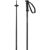 Salomon Polar Access Alpine Poles, Black, 110