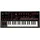 Roland JD-Xi Synthesizer