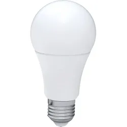 LED Lampe