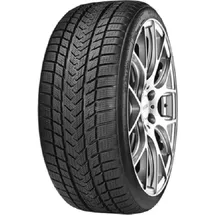 GRIPMAX SureGrip eWinter 225/45 R17 94V XL