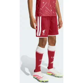 adidas FC Liverpool Shorts 2026/27 rot Kinder Gr. 164