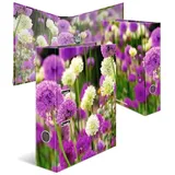 Herma Ordner Purple Sensation Motivordner 7,0 cm DIN A4