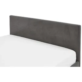 Meise Möbel Polsterbett Cool 140 x 200 cm anthrazit ohne Lattenrost