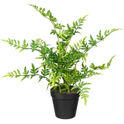 Künstliche Zimmerpflanze CREATIV GREEN "Japanischer Farn", grün, H:40cm, Kunststoff, Kunstpflanzen