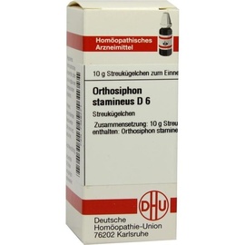 DHU-ARZNEIMITTEL ORTHOSIPHON STAMINEUS D 6