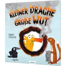 Kleiner Drache Finn: Kleiner Drache – große Wut