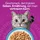 Whiskas Fisch Auswahl in Gelee 48 x 85 g