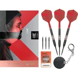 Target Darts Gabriel Clemens 95K Steeldarts 21 g