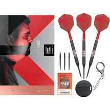 Target Darts Gabriel Clemens 95K Steeldarts 21 g