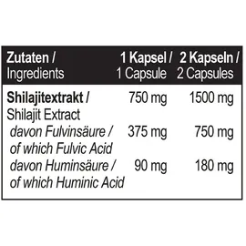 MST Shilajit Kapseln 60 St.