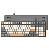 Ziyou LANG K3 Mechanische Tastatur, Abnehmbarer USB C kabelgebundener Mechanical Blue Switch, Beleuchtet, LED-beleuchtet, Gaming-Tastatur, Kompakte 100 Tasten mit Number Pad, PC-Gaming-Tastatur