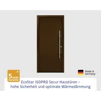 EcoStar Haustür ISOPRO Secur IPS 010 RC2 terrabraun 110 x 210 cm