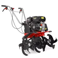 Hecht 790 BS Benzin-Motorhacke
