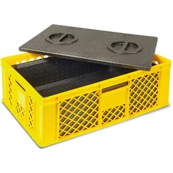 BRB Eurobehälter mit EPP-Isolierbox, LxBxH 600 x 400 x 240 mm, 20 Liter, gelb