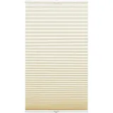 GARDINIA Plissee Concept Tageslicht 80 x 210 cm Beige