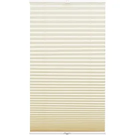 GARDINIA Plissee Concept Tageslicht 80 x 210 cm Beige